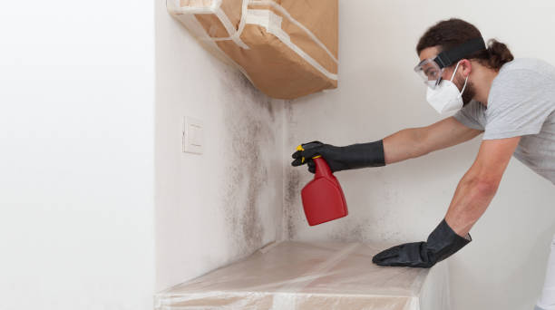 Professional Black Mold Removal technician working in Leland, NC
