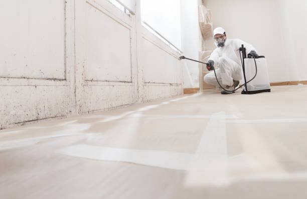 24/7 Emergency Black Mold Removal experts in Leland, NC