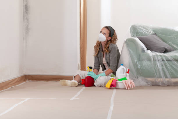 Reliable Black Mold Removal contractor in Leland, NC by WQB Mold Removal